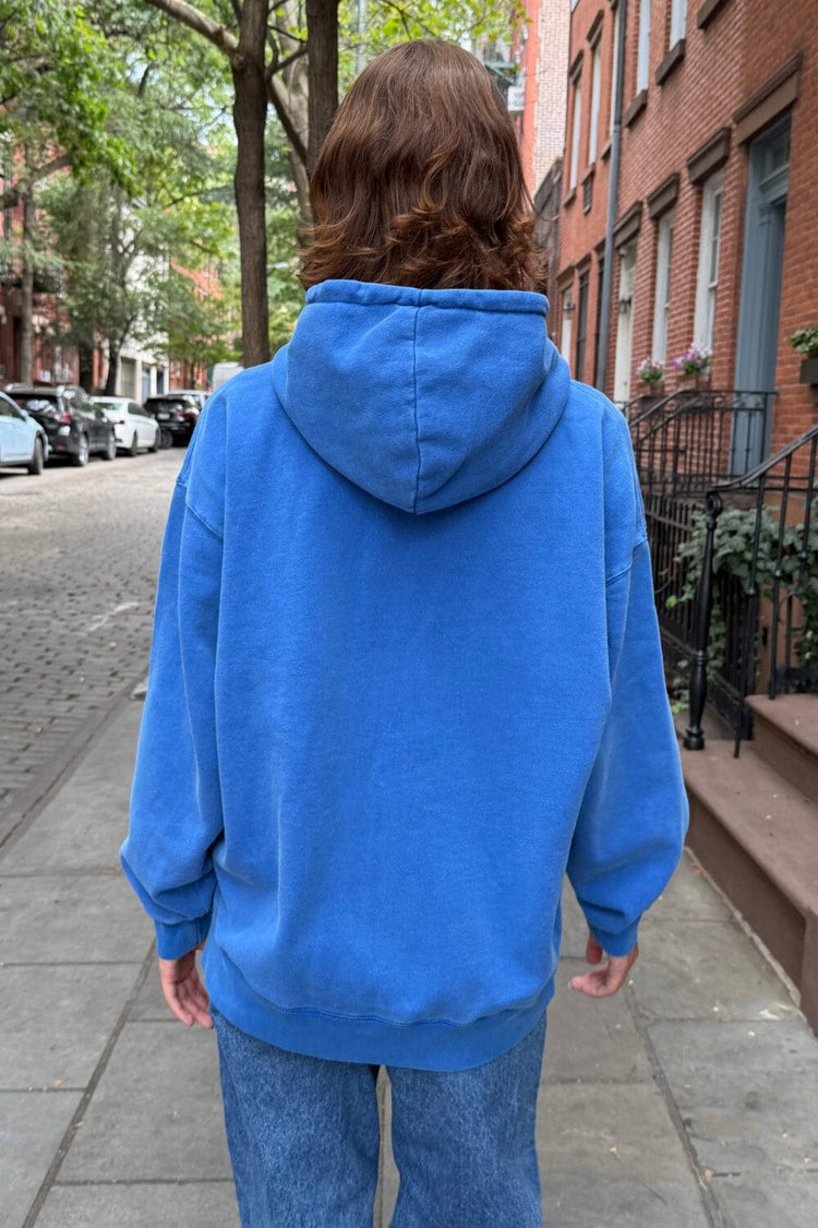 Brandy Melville Popular / Christy Hoodie