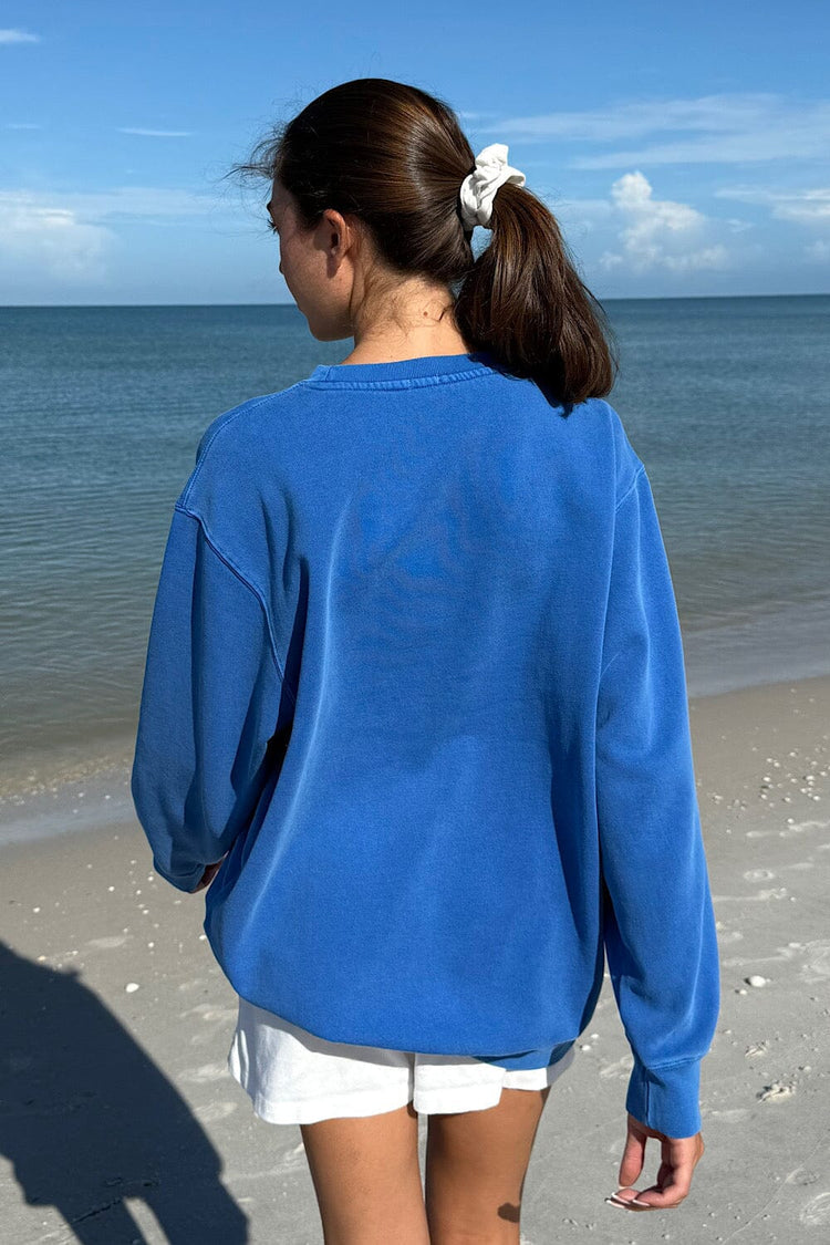 Brandy Melville Exclusive / Erica Oversized Sweatshirt