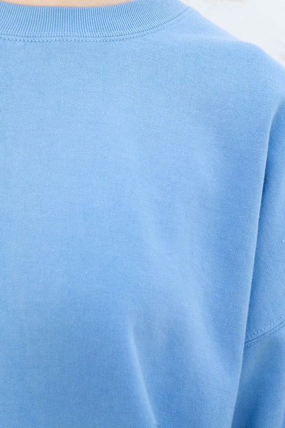 Brandy Melville Exclusive / Erica Oversized Sweatshirt