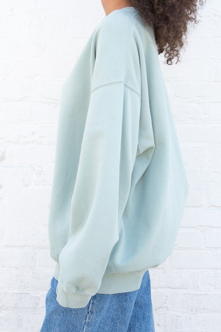 Brandy Melville Exclusive / Erica Oversized Sweatshirt