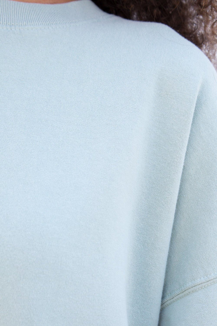 Brandy Melville Exclusive / Erica Oversized Sweatshirt