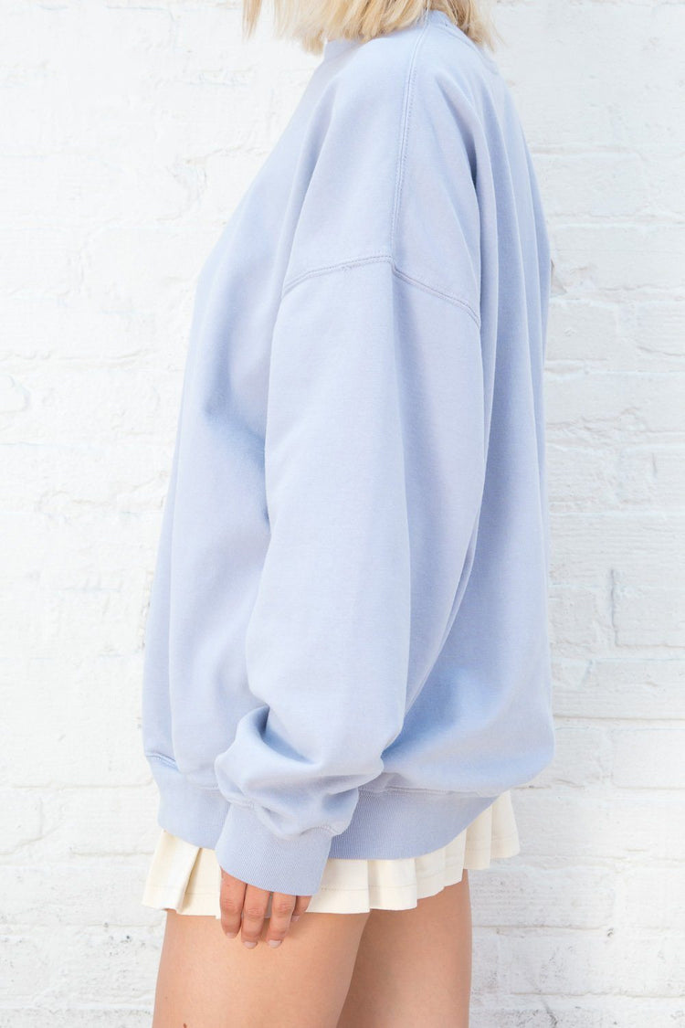 Brandy Melville Exclusive / Erica Oversized Sweatshirt