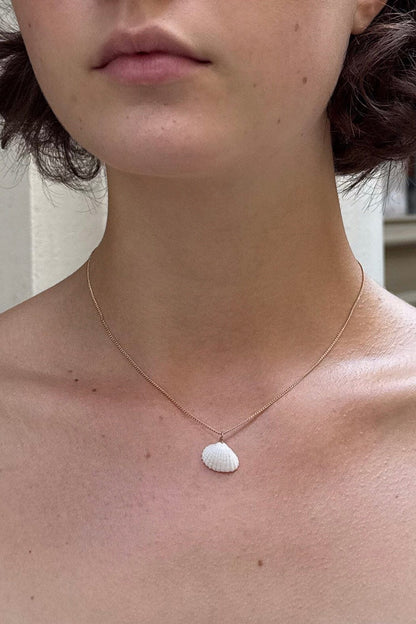 Brandy Melville Discount / Seashell Necklace
