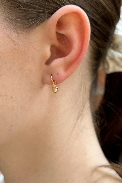 Brandy Melville Best Price / Heart Charm Earrings