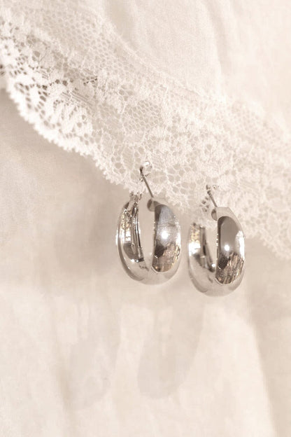 Brandy Melville Special Offer / Hoop Earrings