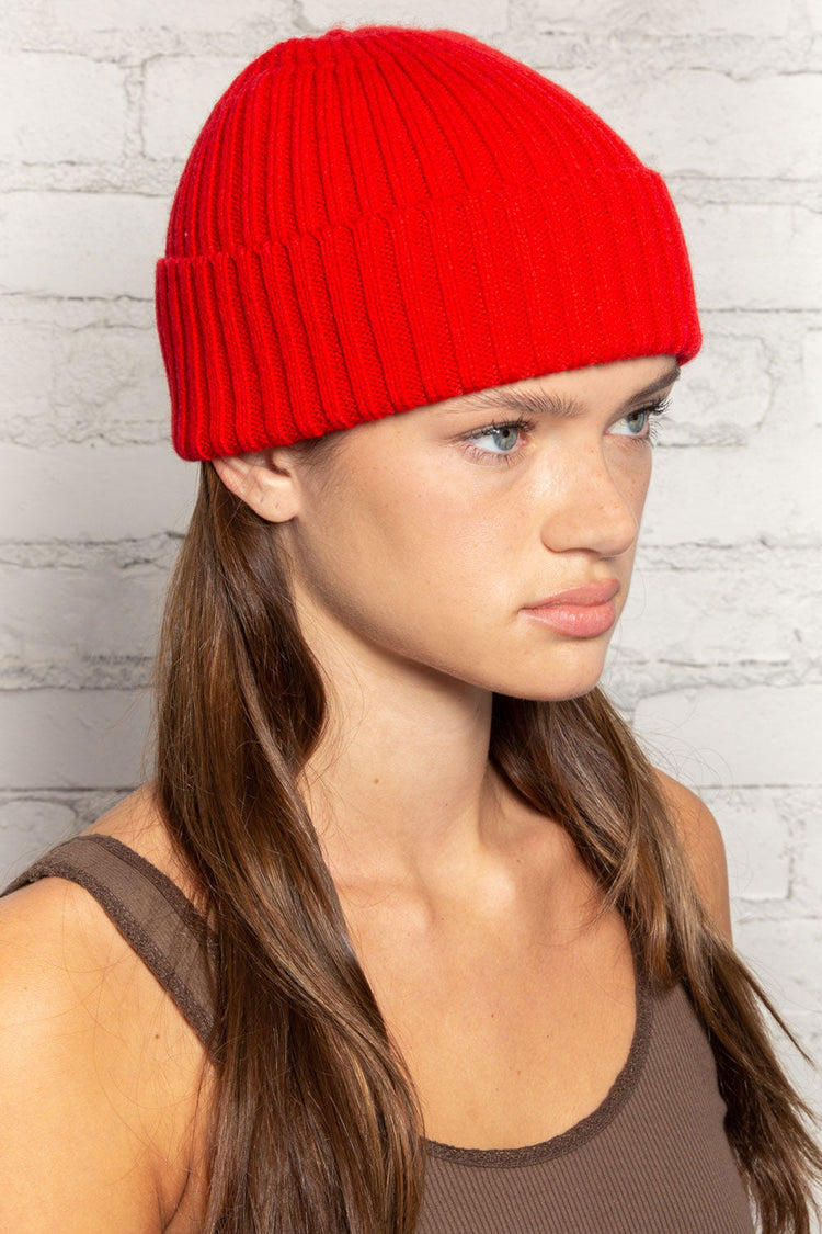 Brandy Melville Classic / Knit Beanie