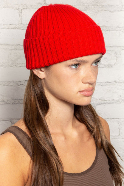 Brandy Melville Classic / Knit Beanie