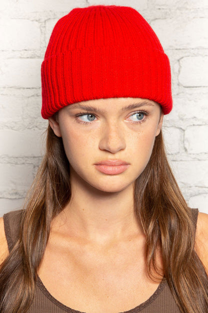 Brandy Melville Classic / Knit Beanie