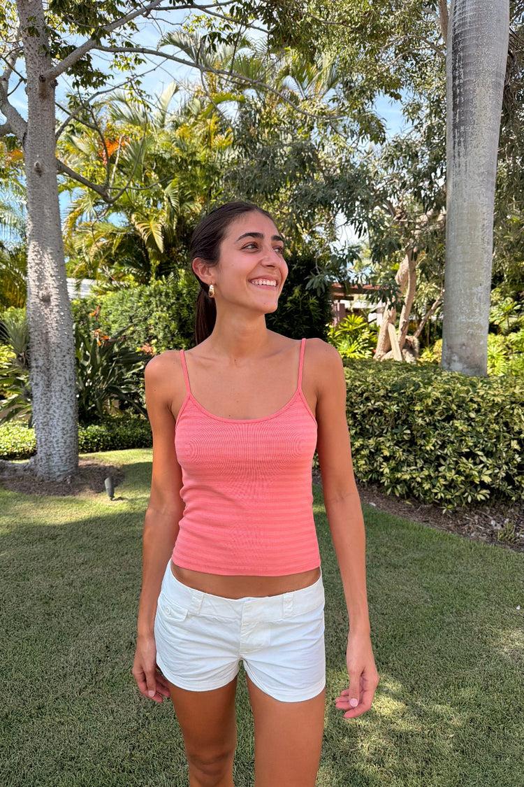 Brandy Melville Classic / Skylar Striped Tank