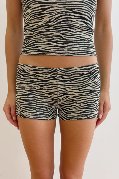 Brandy Melville Everyday / Zebra Boy Shorts